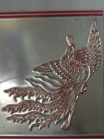 Magnesium etched die sample